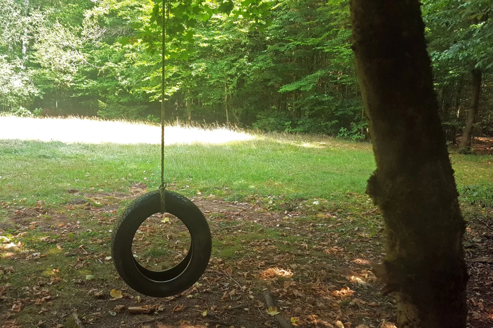 Waldferienhaus-Gardens summer