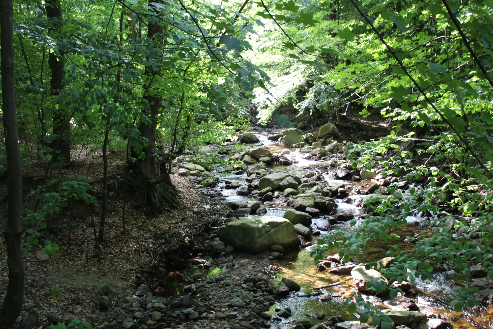 Haus Buchberg-Zones d'été à 5 km