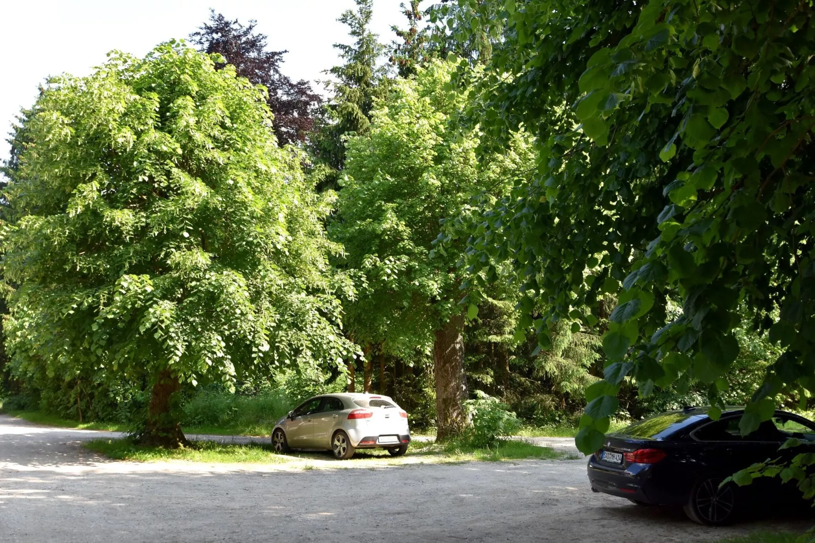 Königspfalzblick-Gardens summer