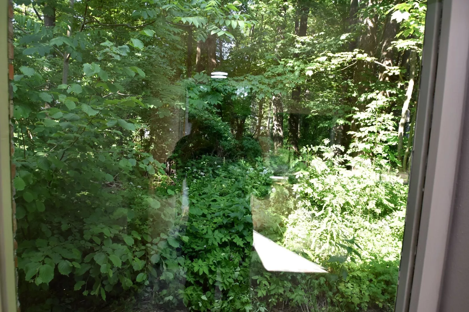 Königspfalzblick-View summer