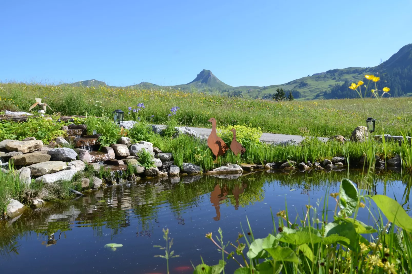 Schönblick 2-Areas summer 1km