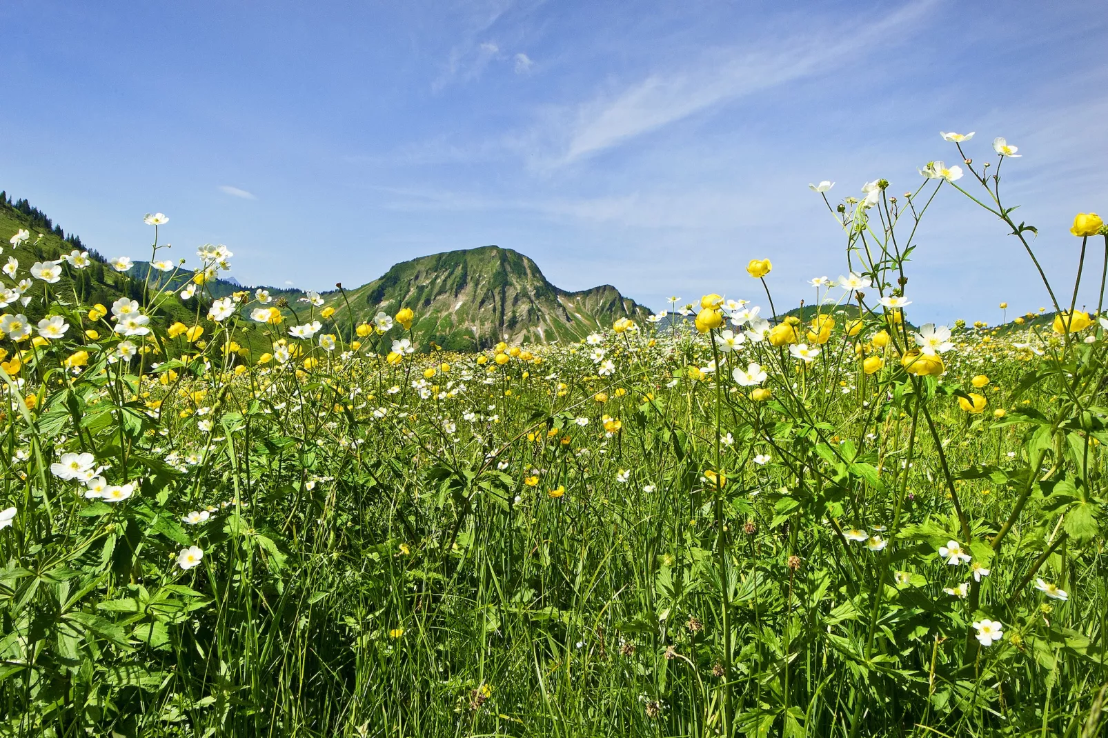 Schönblick 2-Areas summer 5km