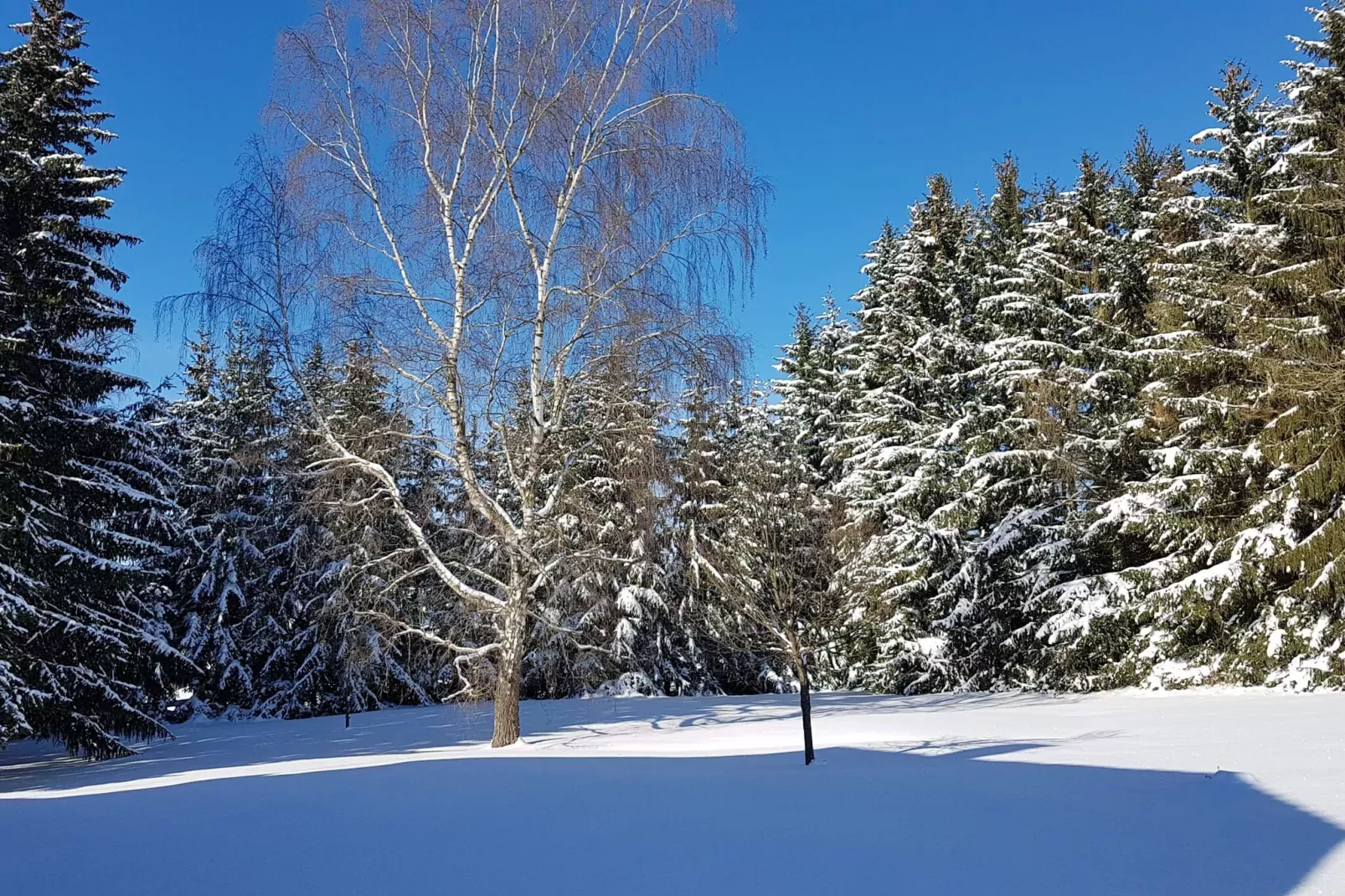 Benneckenstein-Zone d'hiver à 1 km