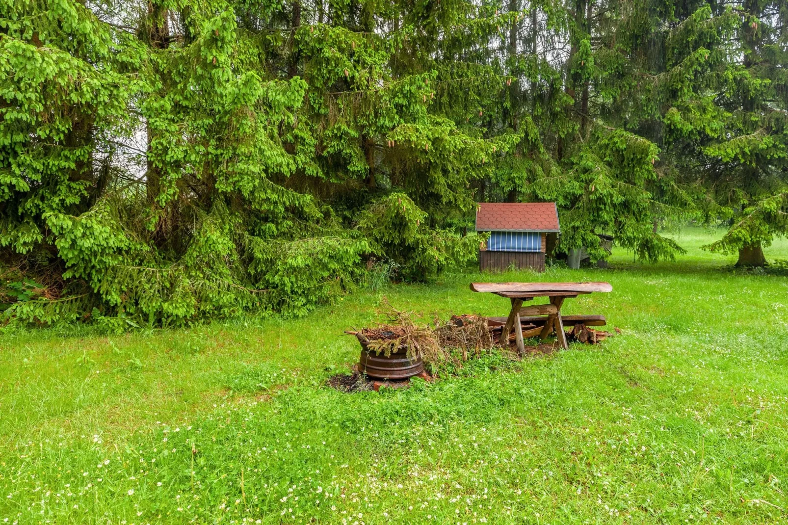 Benneckenstein-Jardin d'été