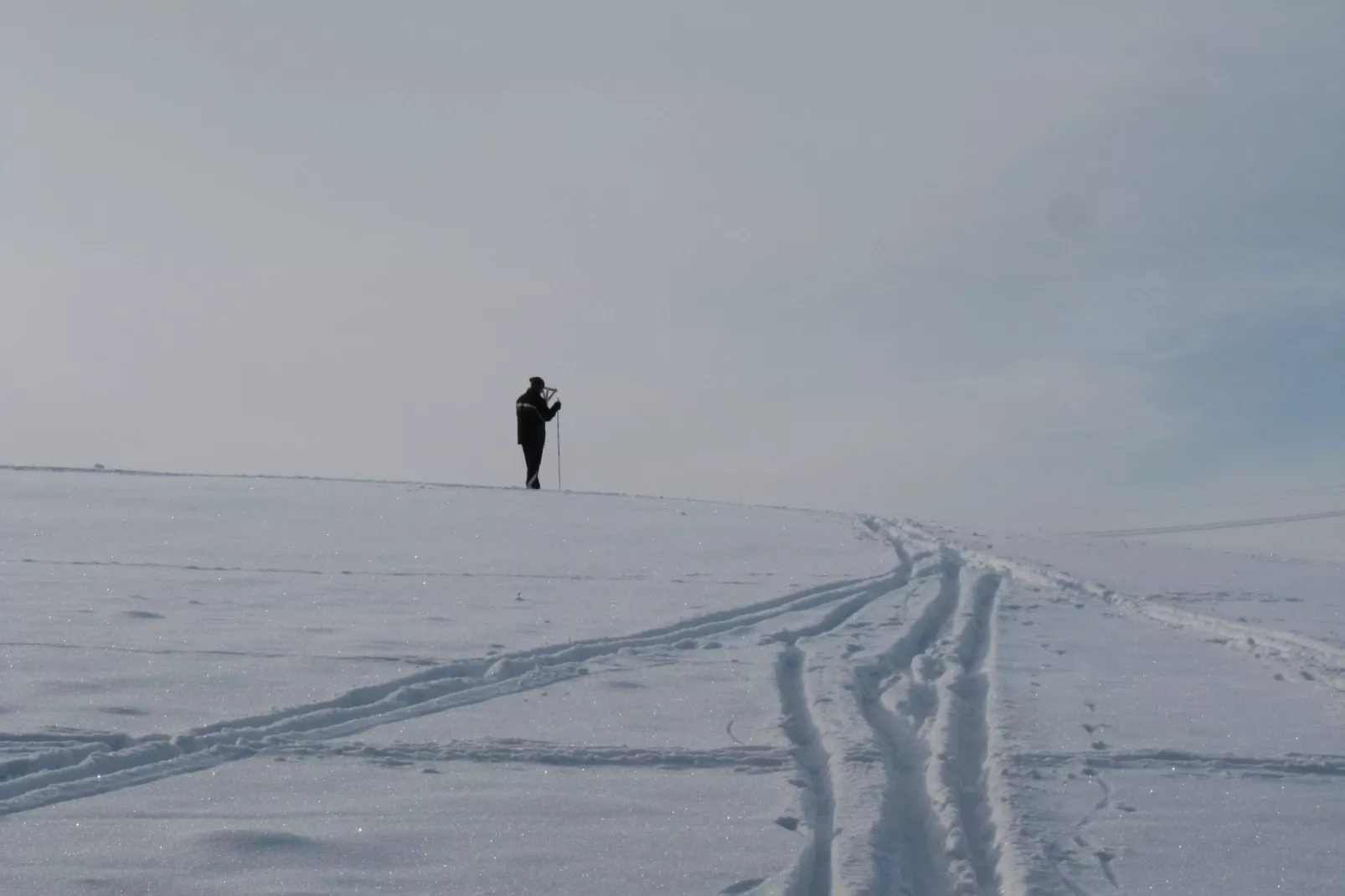 Moni-Area winter 5km