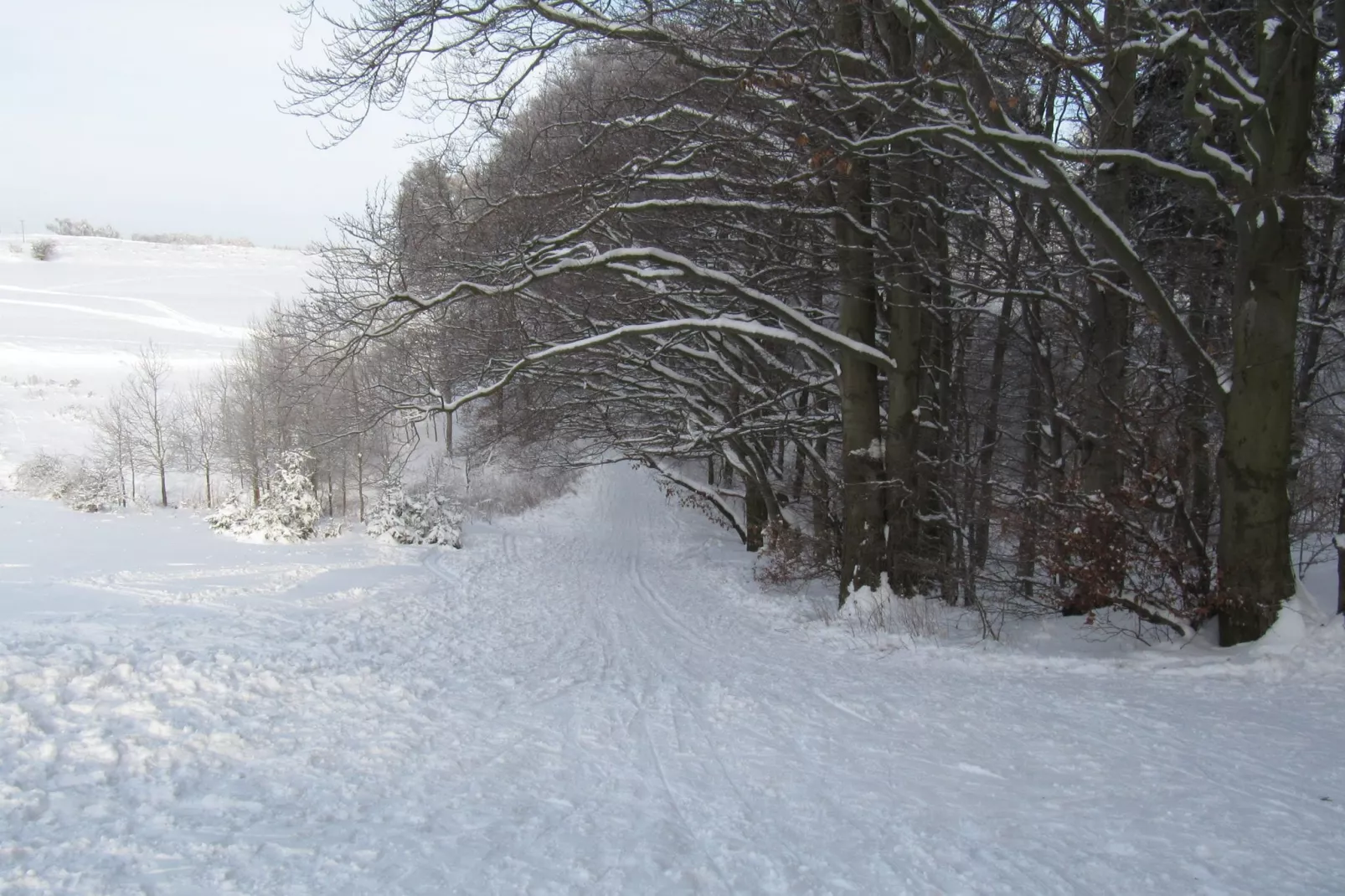 Moni-Area winter 5km