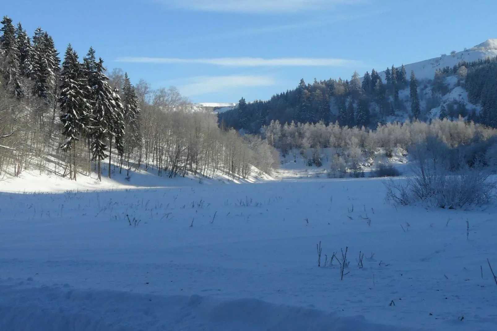 Der alte Kutscherhof-Garden winter