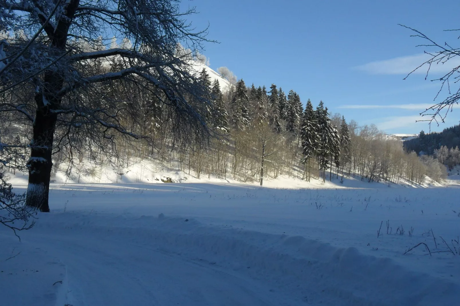 Der alte Kutscherhof-View winter