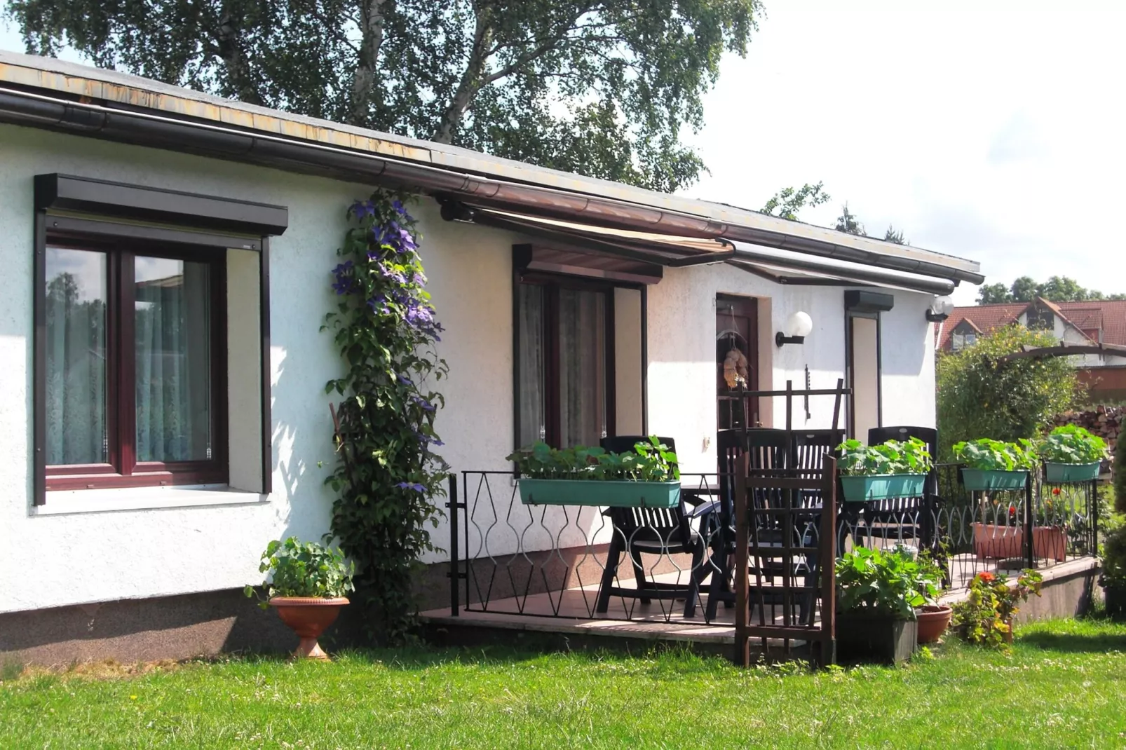 Ferienhaus im Harz-Gärten Sommer