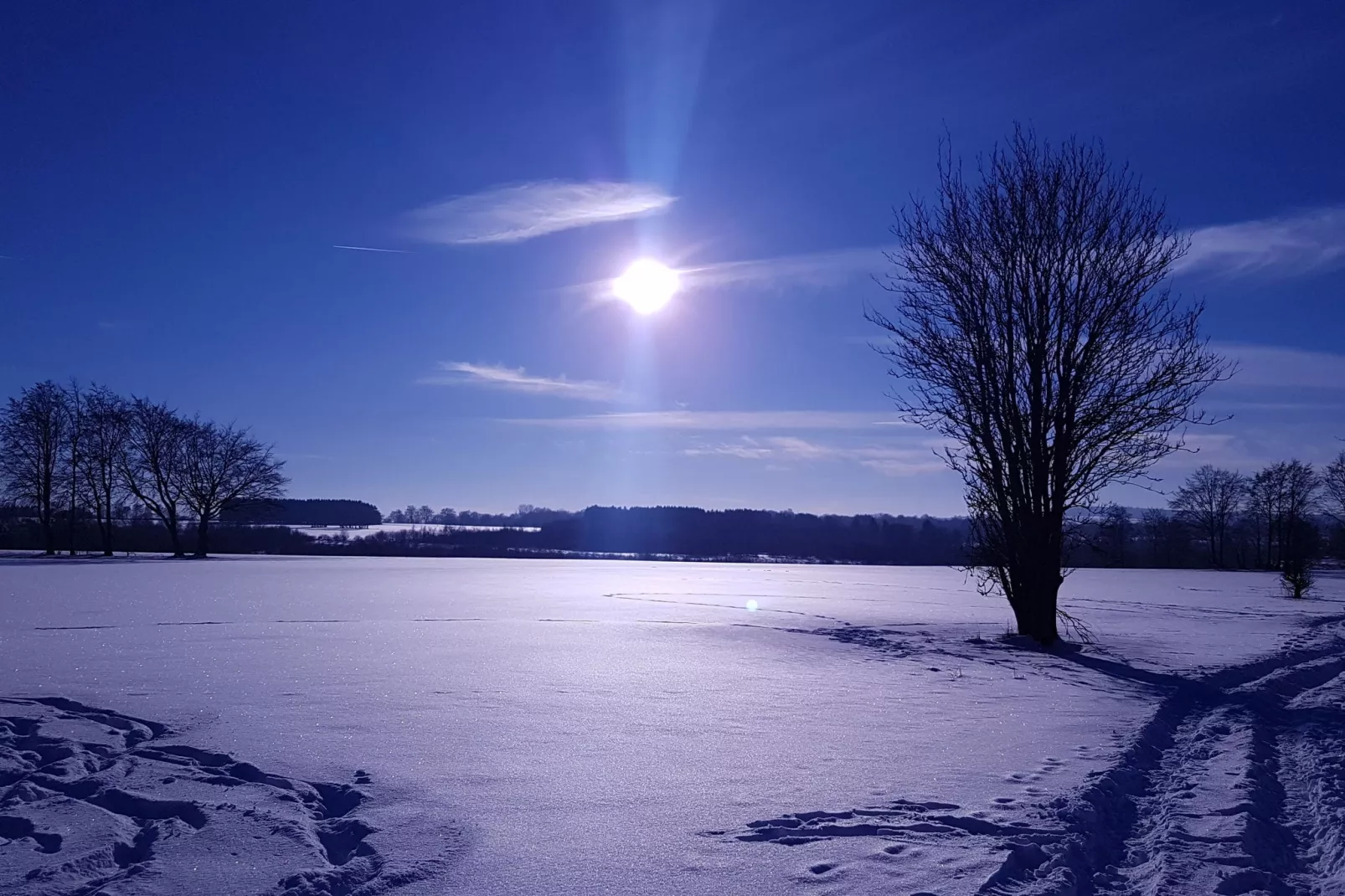Gut Heistert-Gebiet Winter 1 km