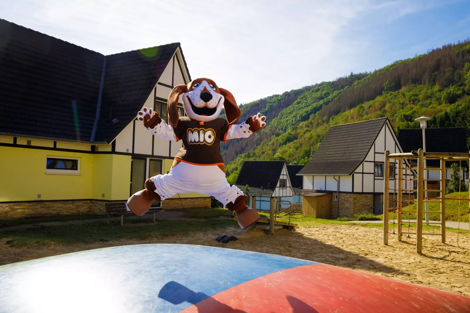 Resort Eifeler Tor 1-Park facilities