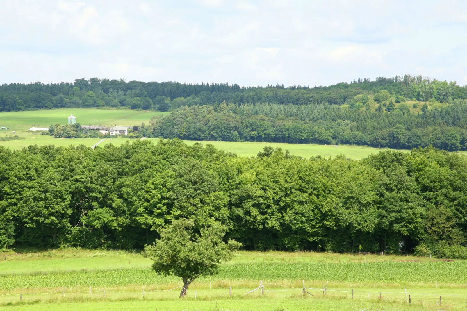 Ferienhaus zum Wäldchen-Areas summer 5km