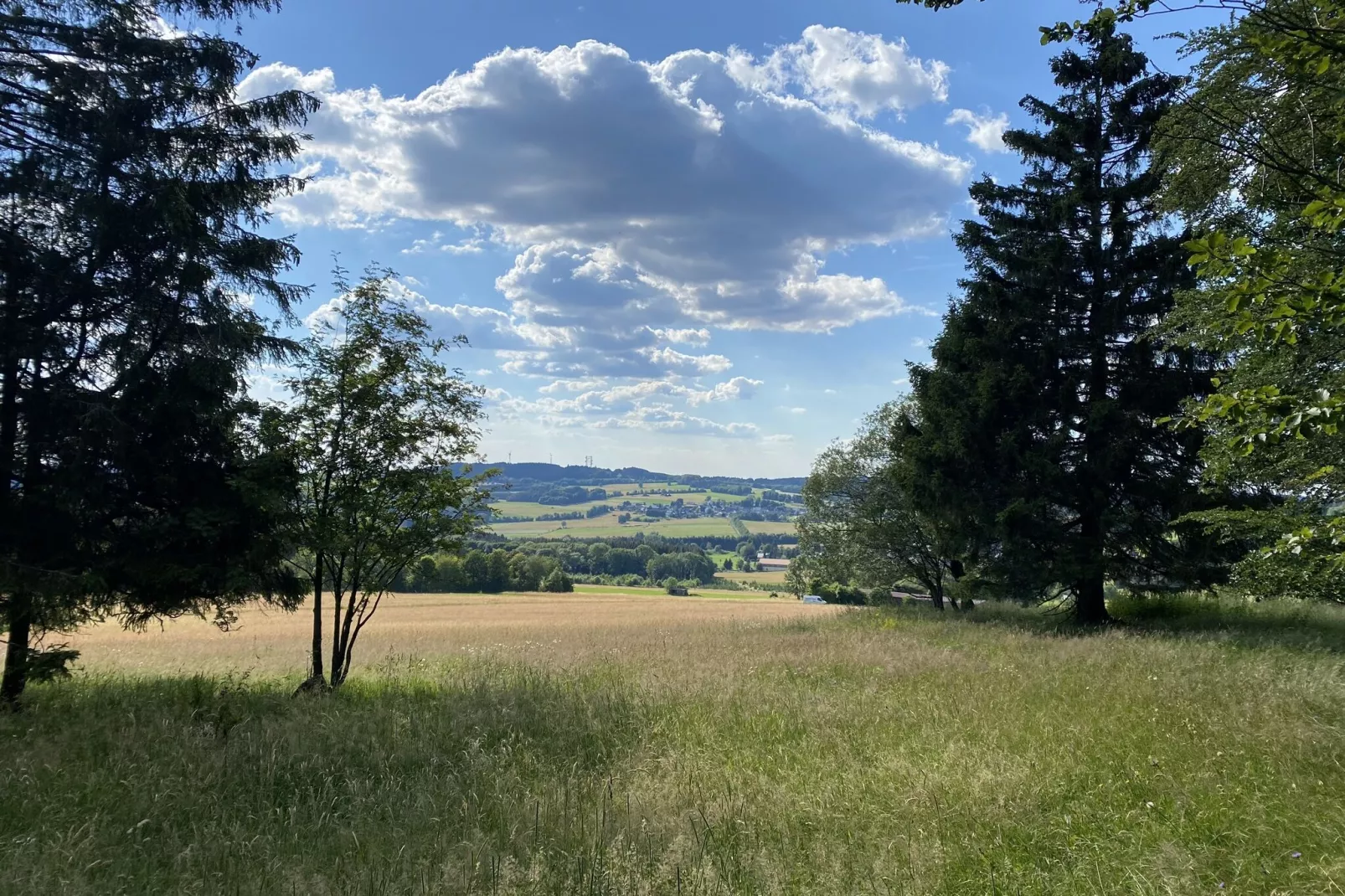 An den Wiesen-Areas within 1km in summer