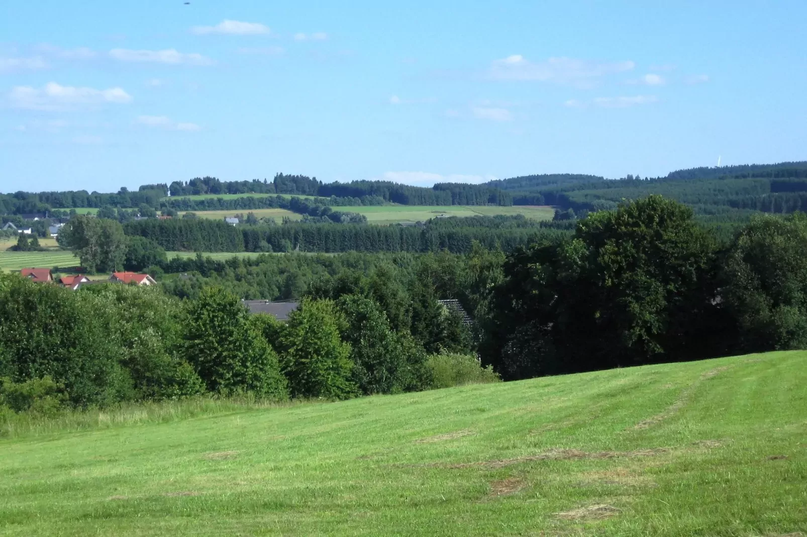 An den Wiesen-Areas within 20km in summer