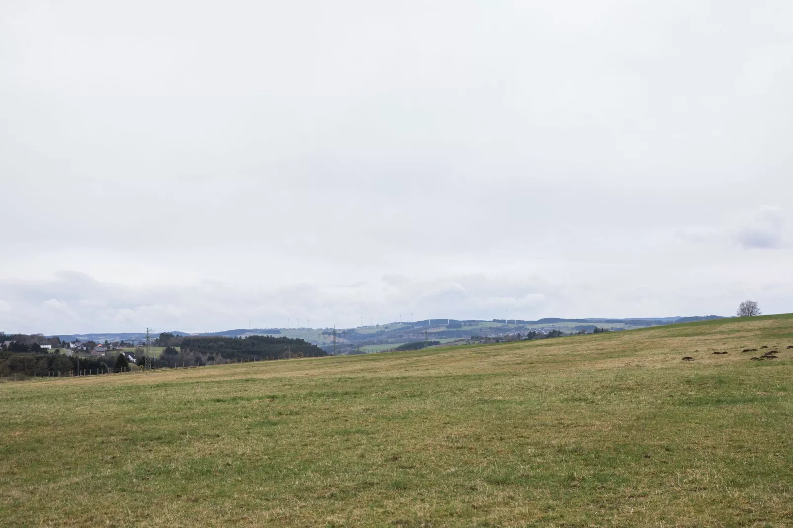 Morsbacher Hof III-Areas summer 1km