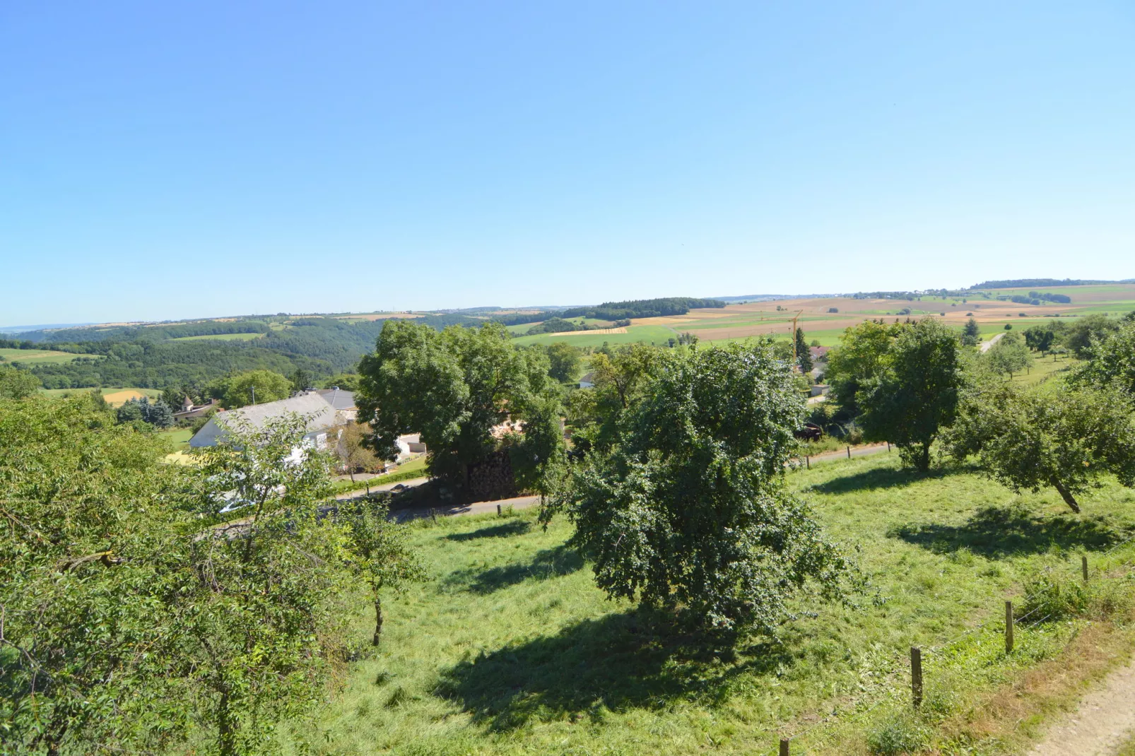 Scheune zur Schönen Aussicht-View summer