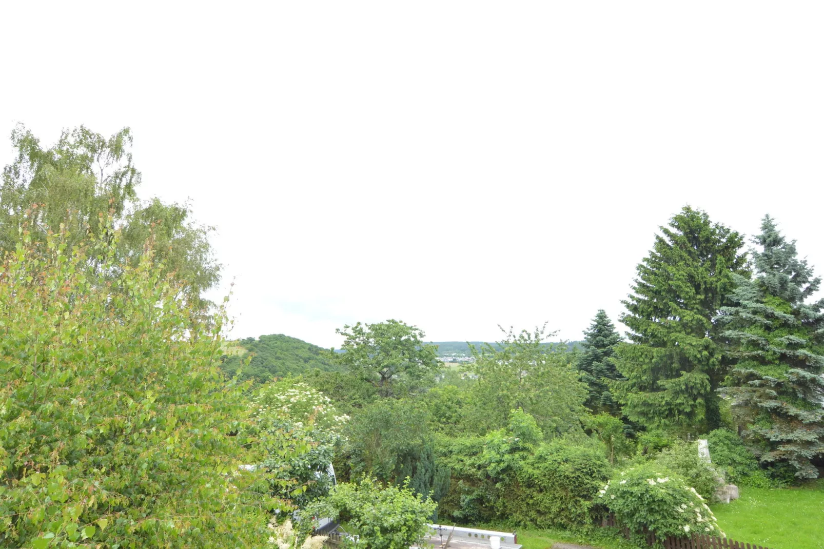 Hunsrück-Stube-View summer