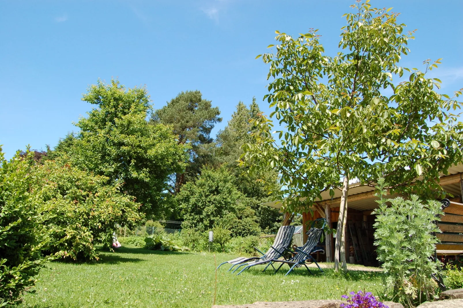 Gerberhaus-Gardens summer