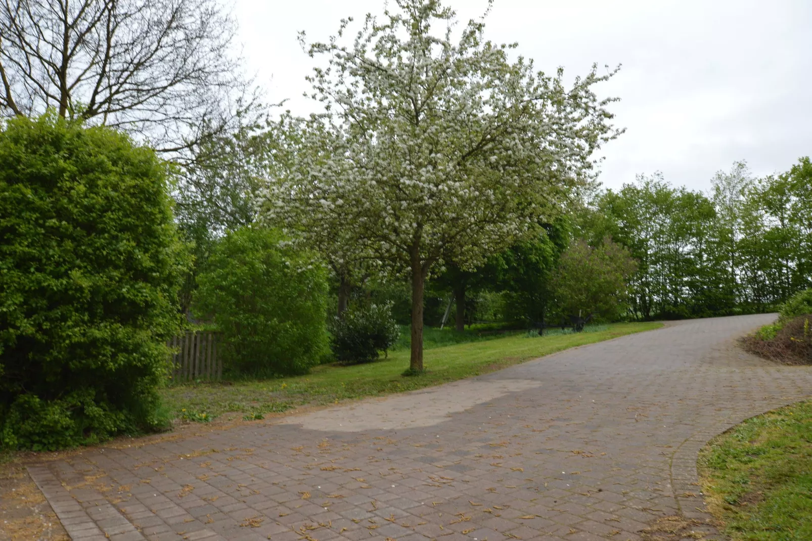 Ferienwohnung Grün - Garten Sommer