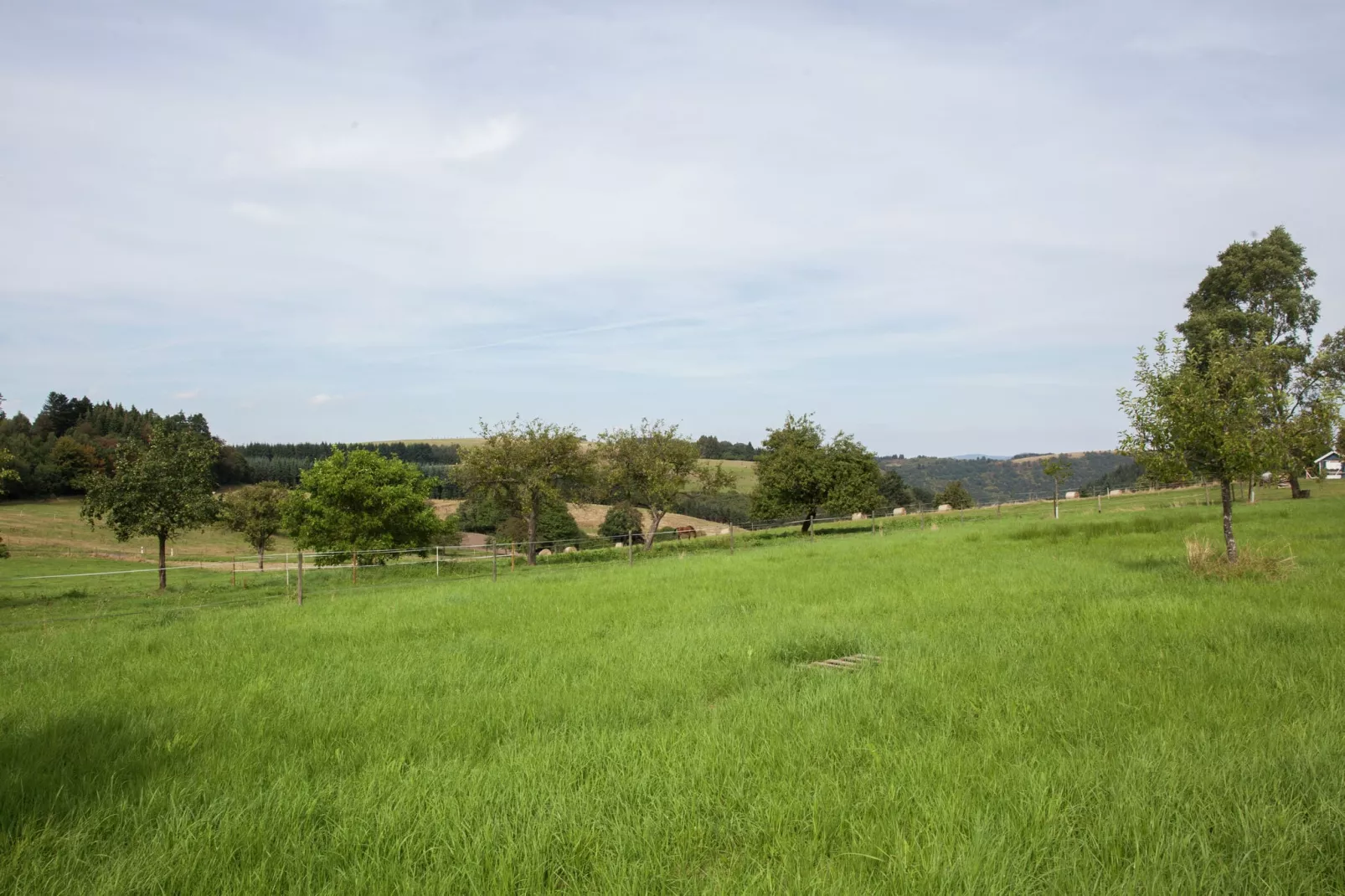 Haus Ludwine-Zones d'été à 1 km