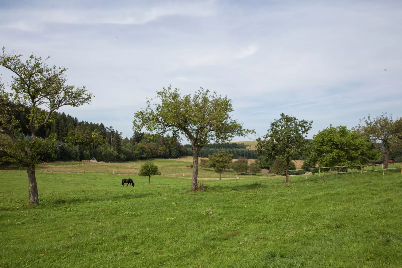 Haus Ludwine-Zones d'été à 1 km