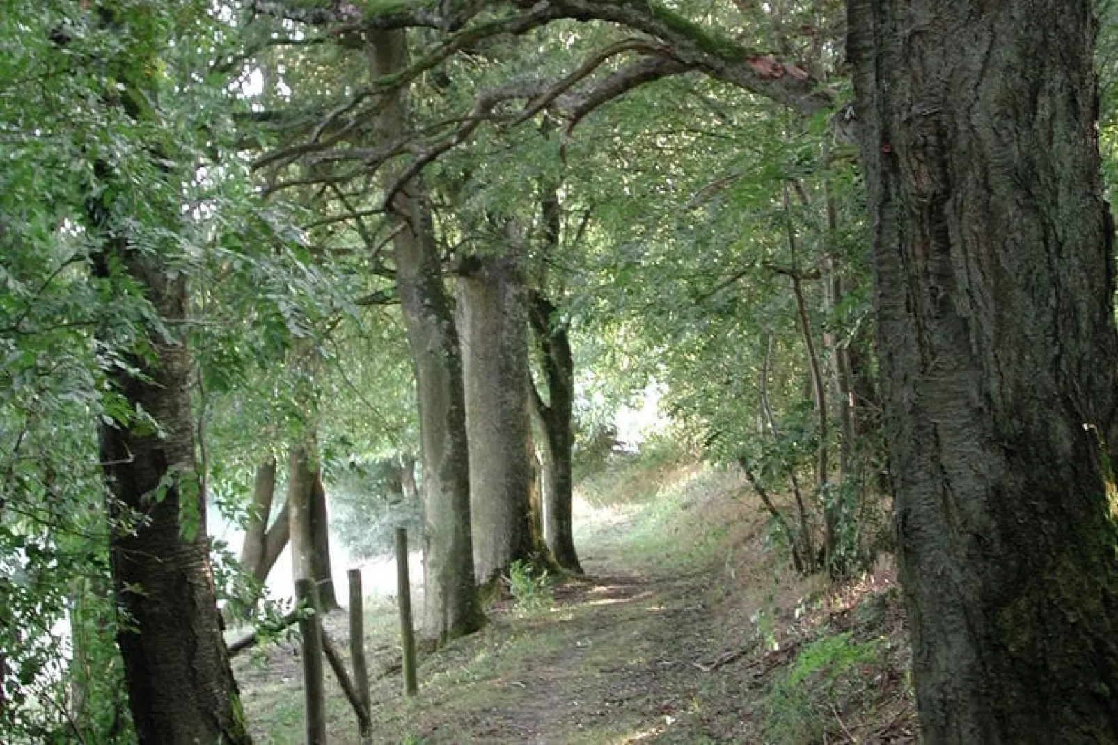 Anika I-Areas summer 1km