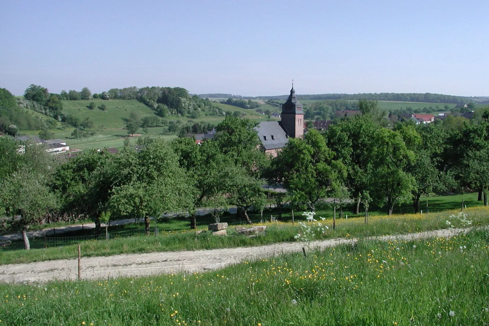 Anika I-Areas summer 1km