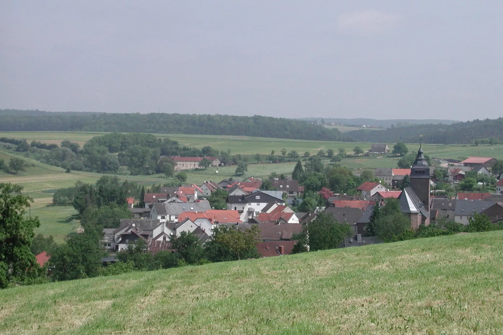 Anika I-Areas summer 1km