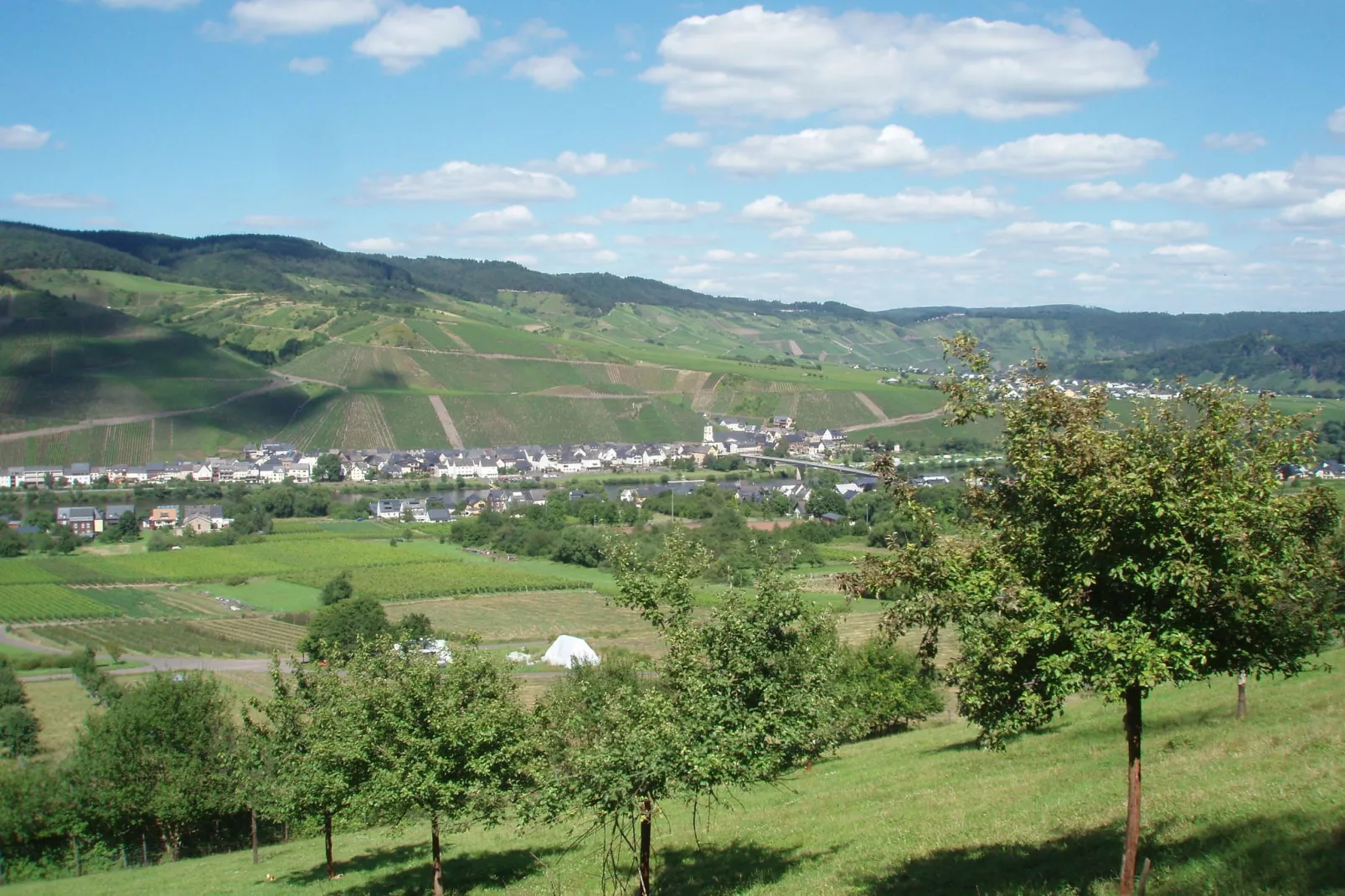 Weingut Justen-Kiebel-Areas summer 1km