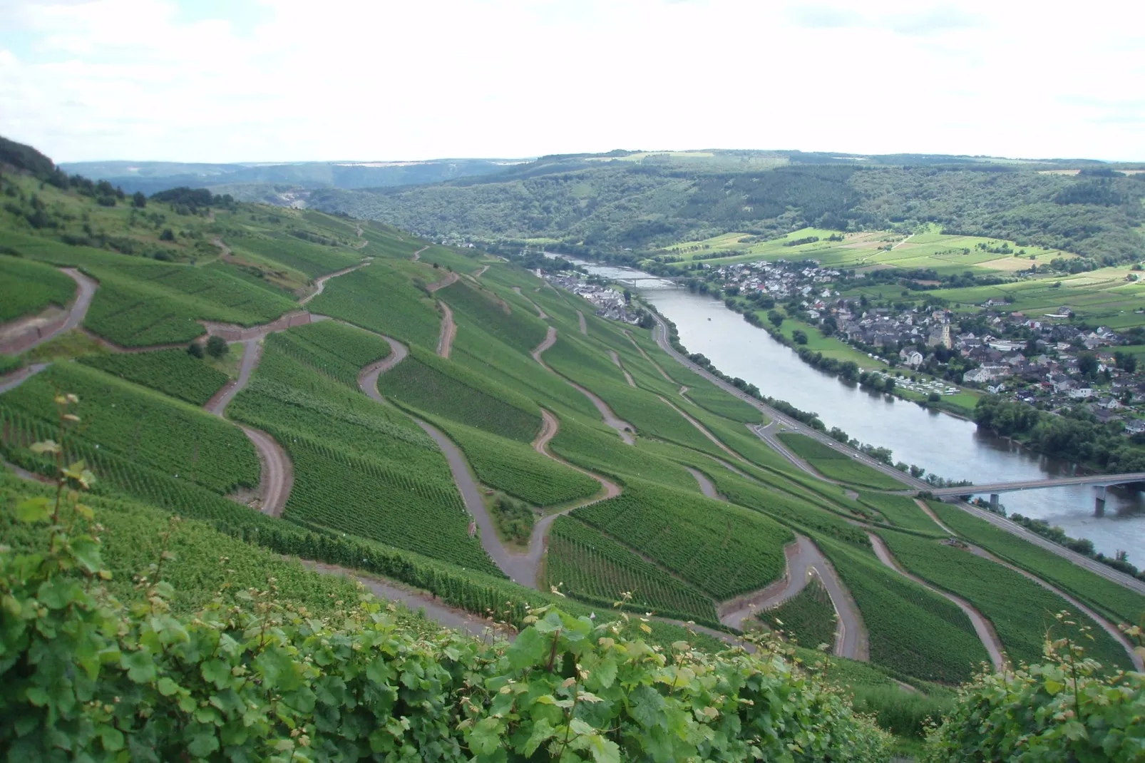 Weingut Justen-Kiebel-Areas summer 1km