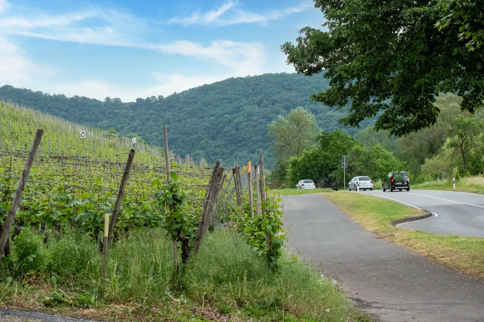 Appartement Moselblick-Gebiete Sommer 5 km
