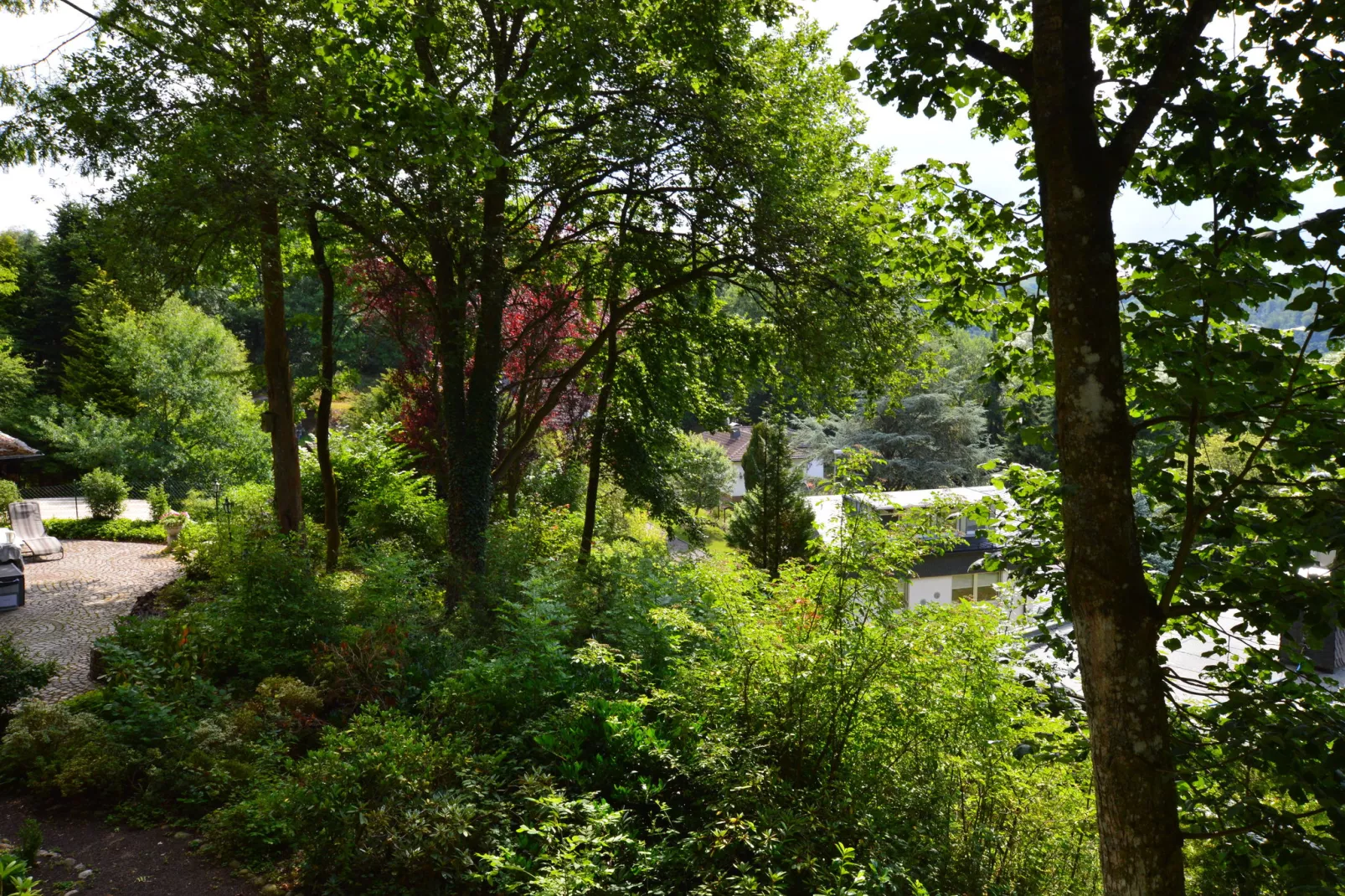 Turm zur Pfaffenley-View summer