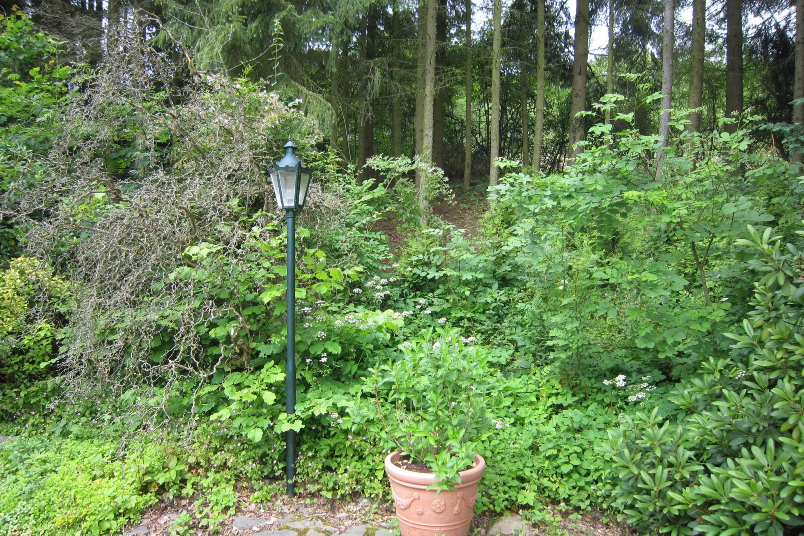 Turm zur Pfaffenley-Gardens summer
