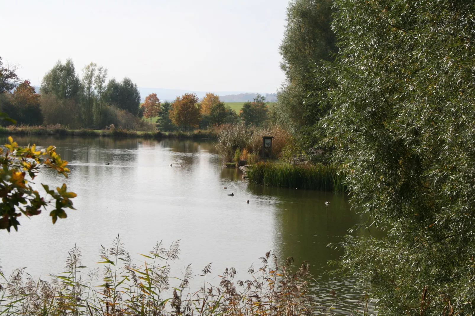 Hillesheim-Areas summer 5km