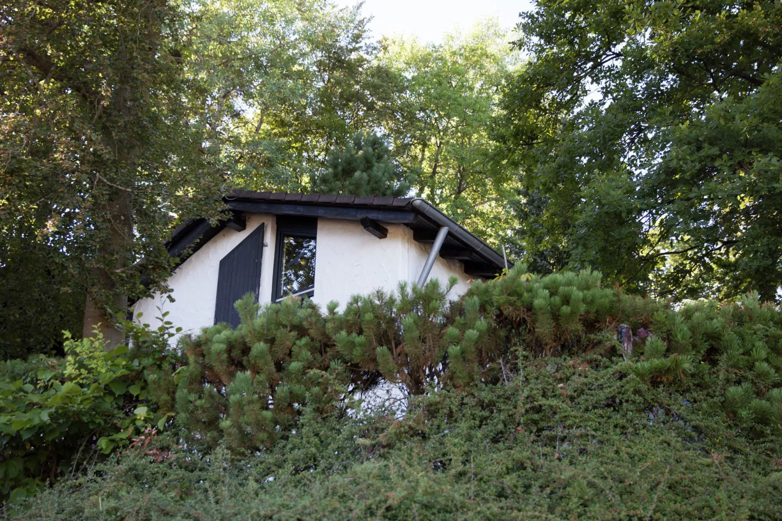 Ferienhaus Bremer-Exterior summer