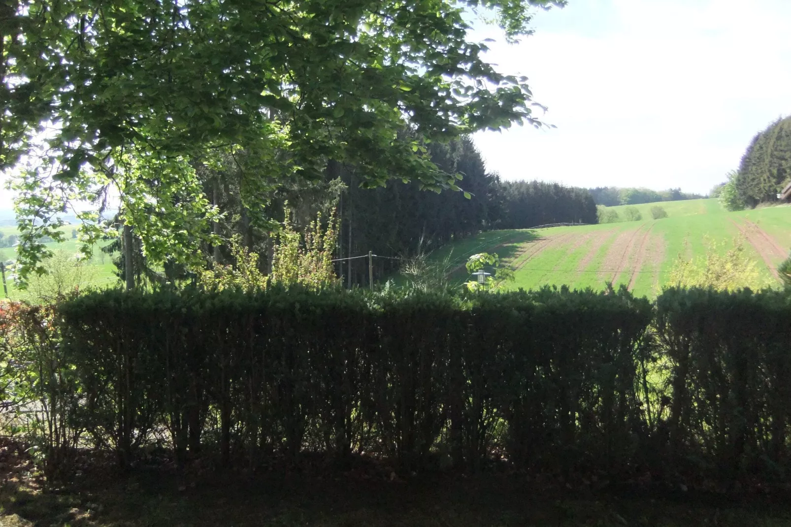 Ferienhaus Bremer-Gardens summer
