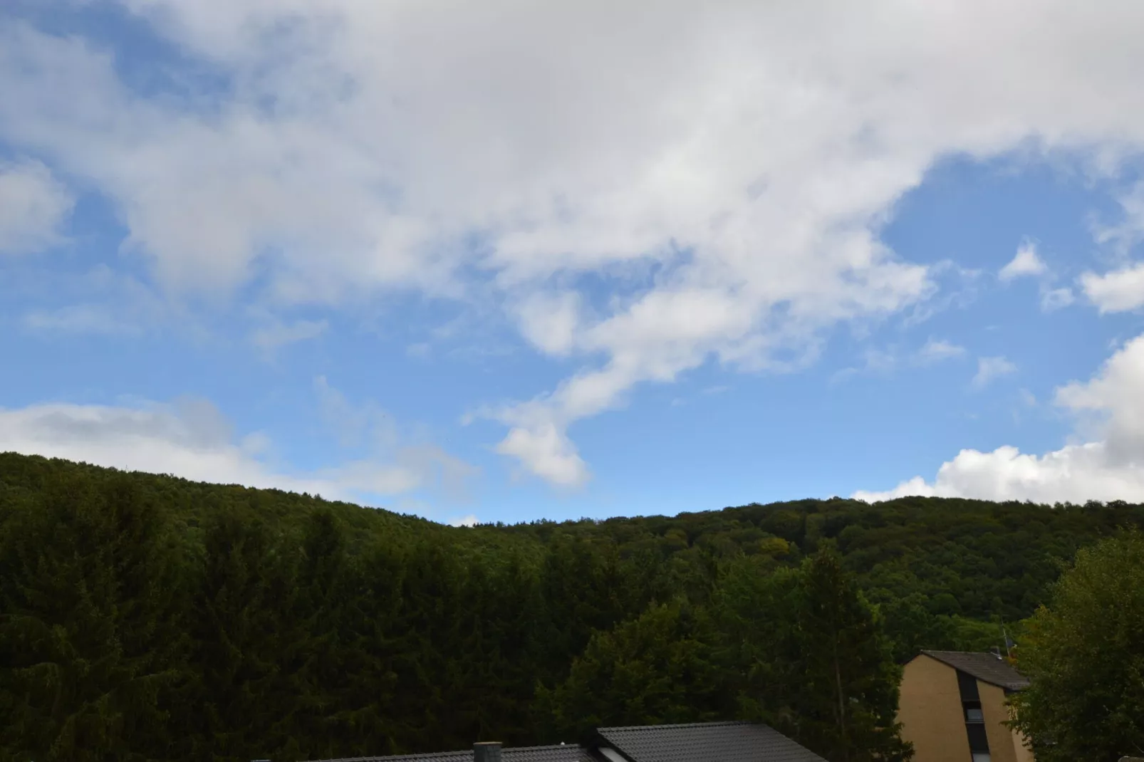 Ferienwohnung Waldblick-Gebiete Sommer 1 km