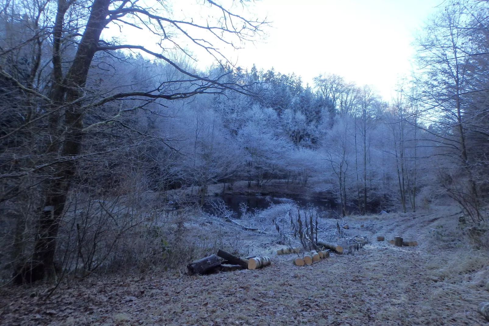 Ferienwohnung Waldblick-Gebiet Winter 1 km