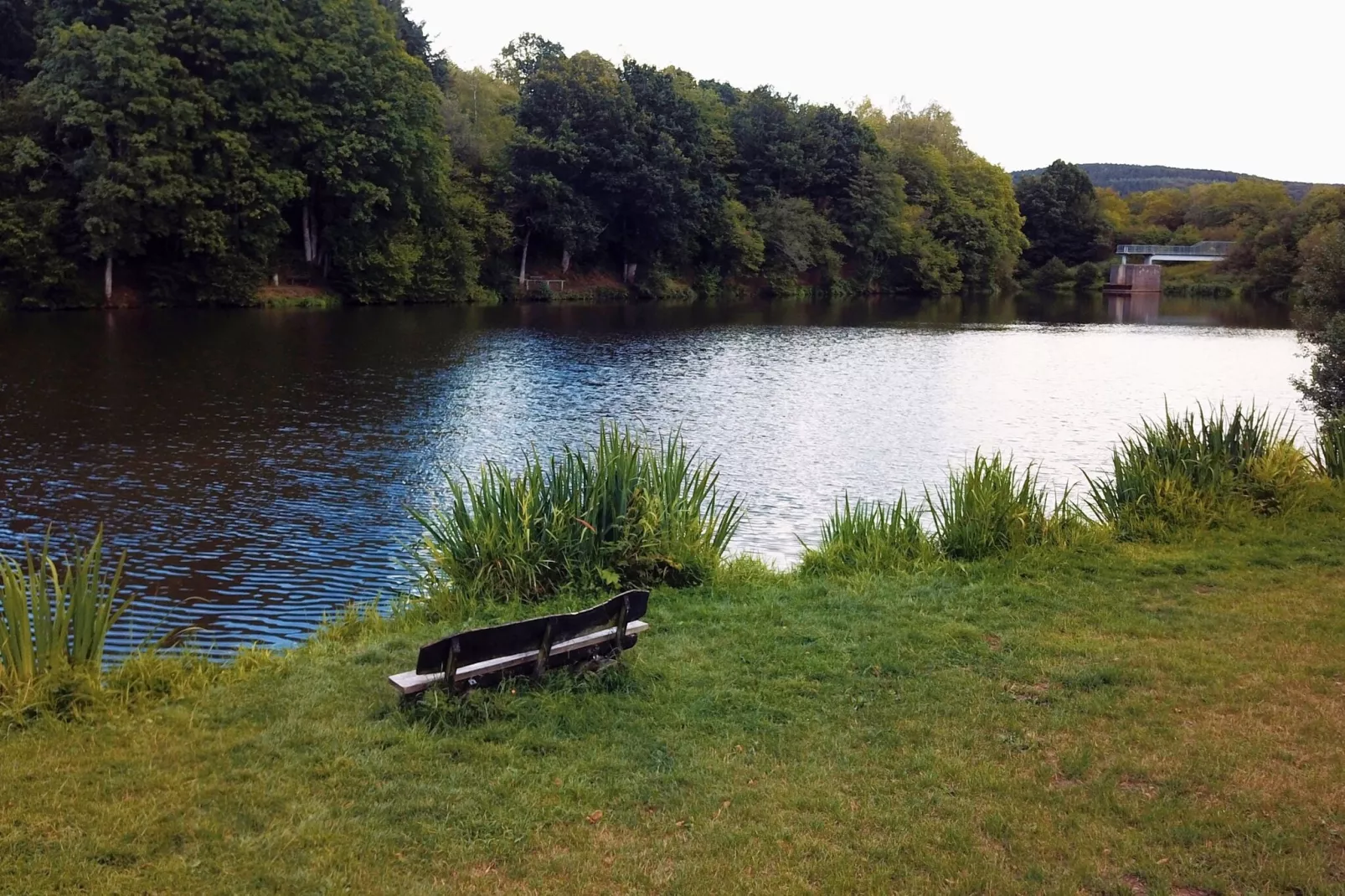 Eifelleben-Areas summer 20km