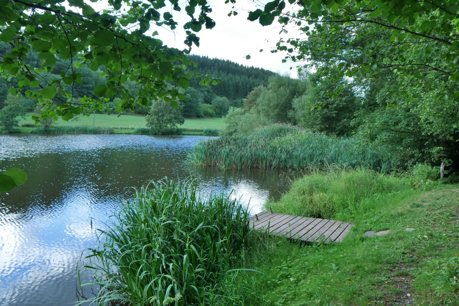 Eifelleben-Areas summer 20km