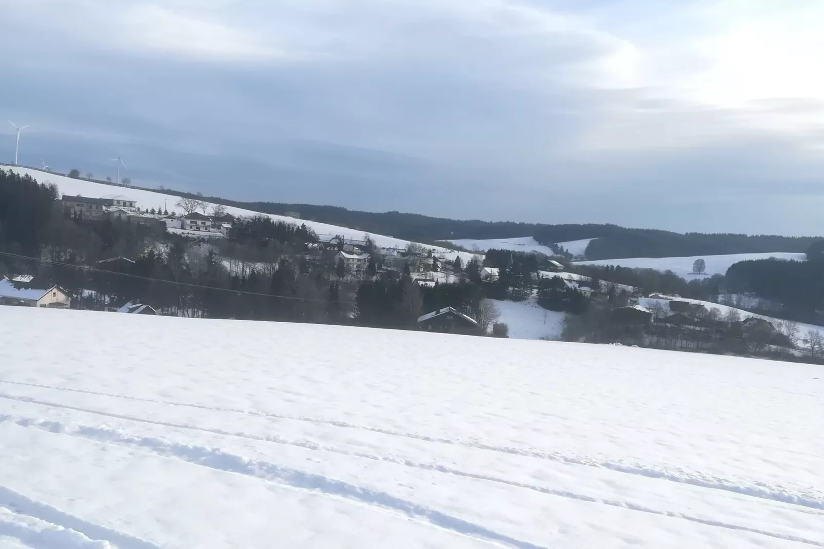 Eifelleben-Area winter 1km