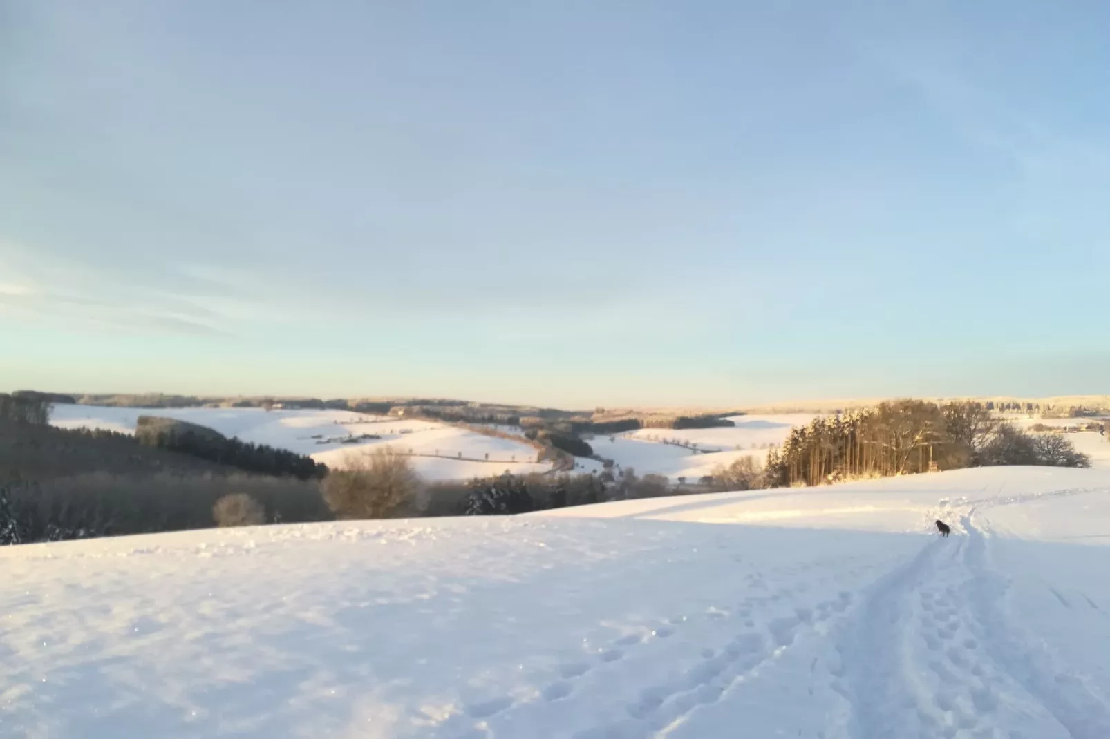 Eifelleben-Area winter 1km