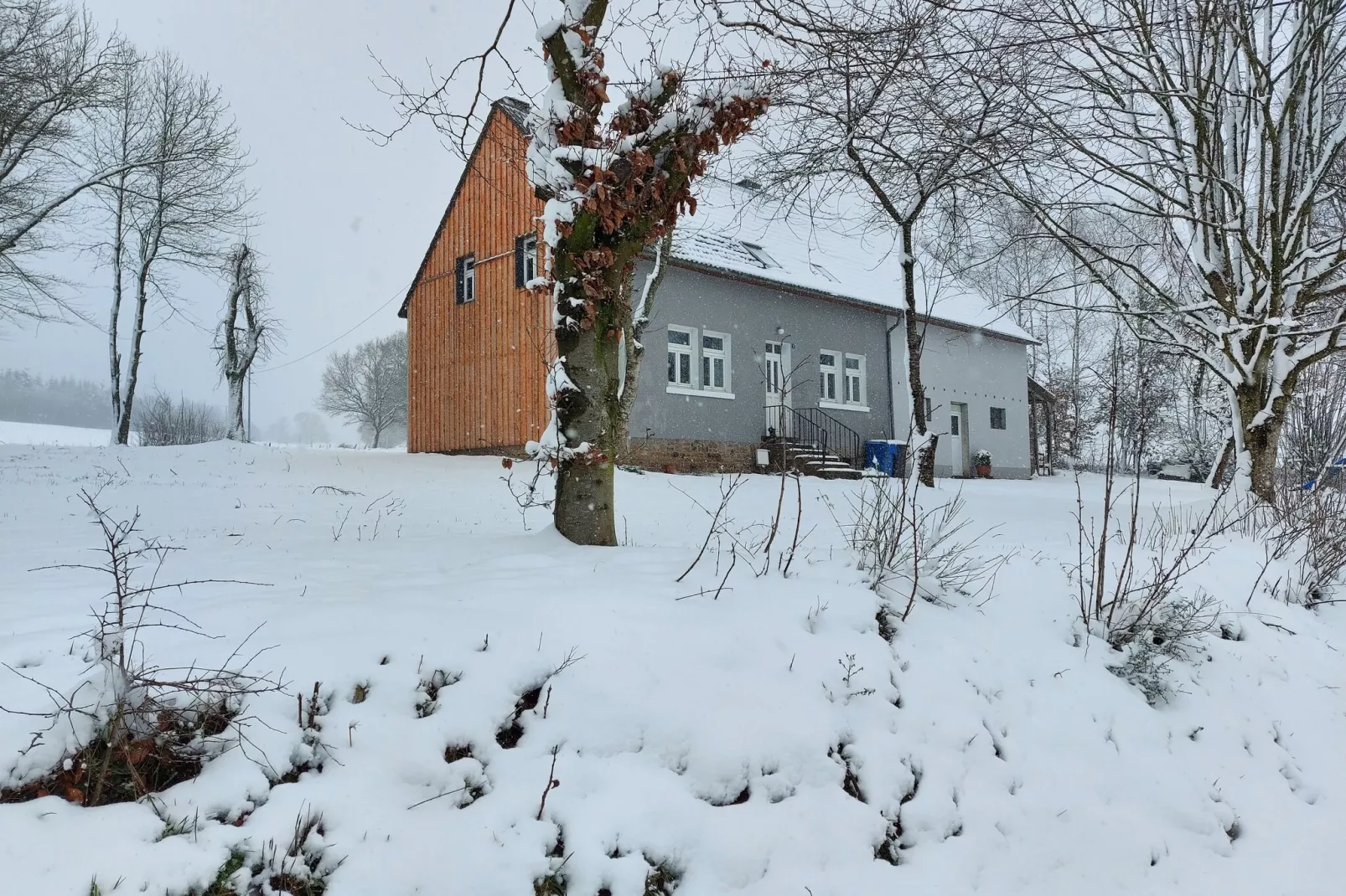 Ferienhaus Waldblick-Exterior winter