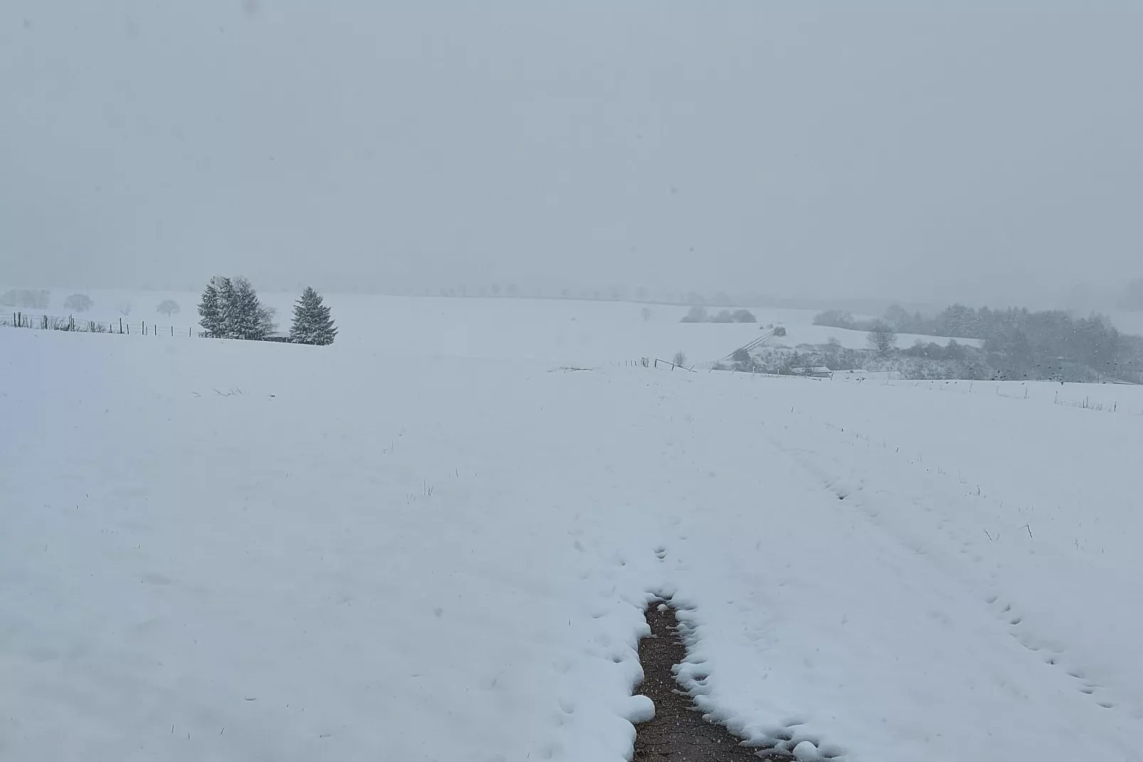 Ferienhaus Waldblick-View winter