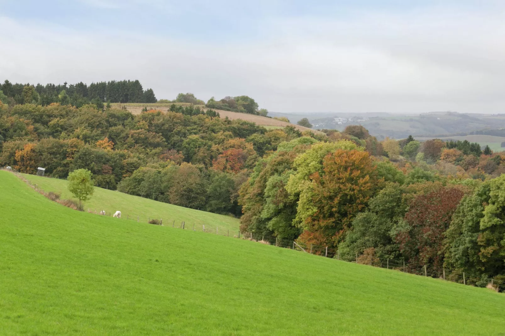 Blick zu Luxemburg-Areas summer 5km
