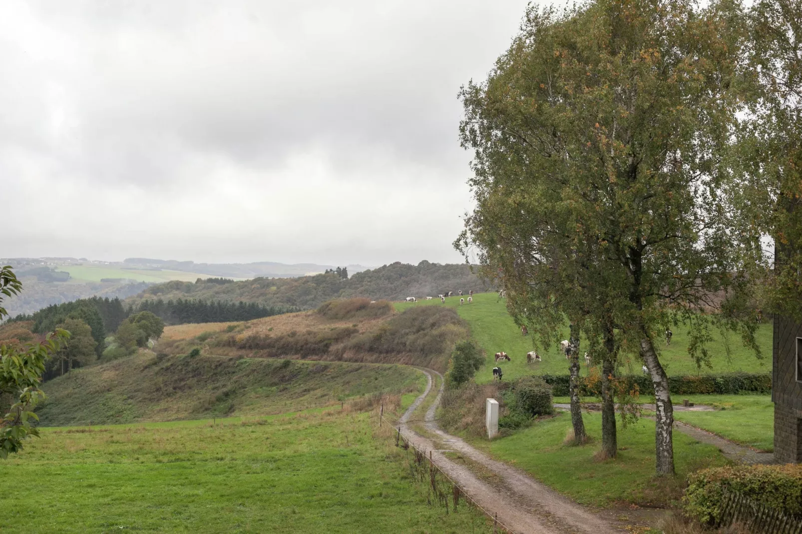Blick zu Luxemburg-View summer