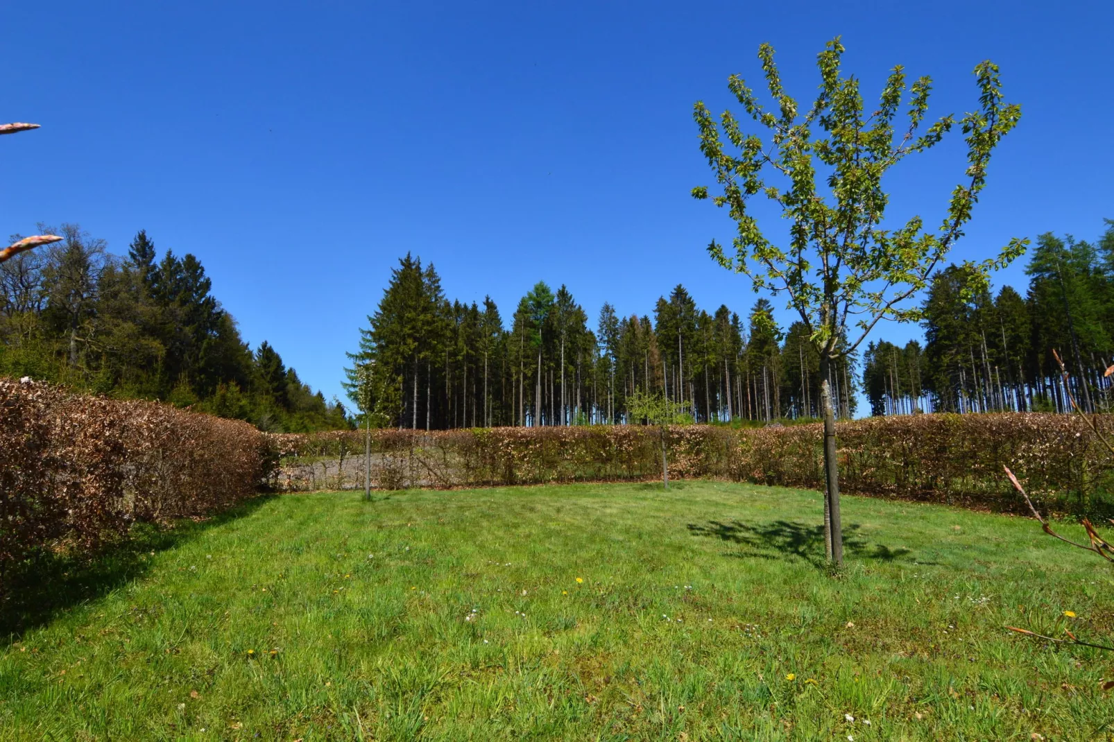 Fichtenhof-Gardens summer