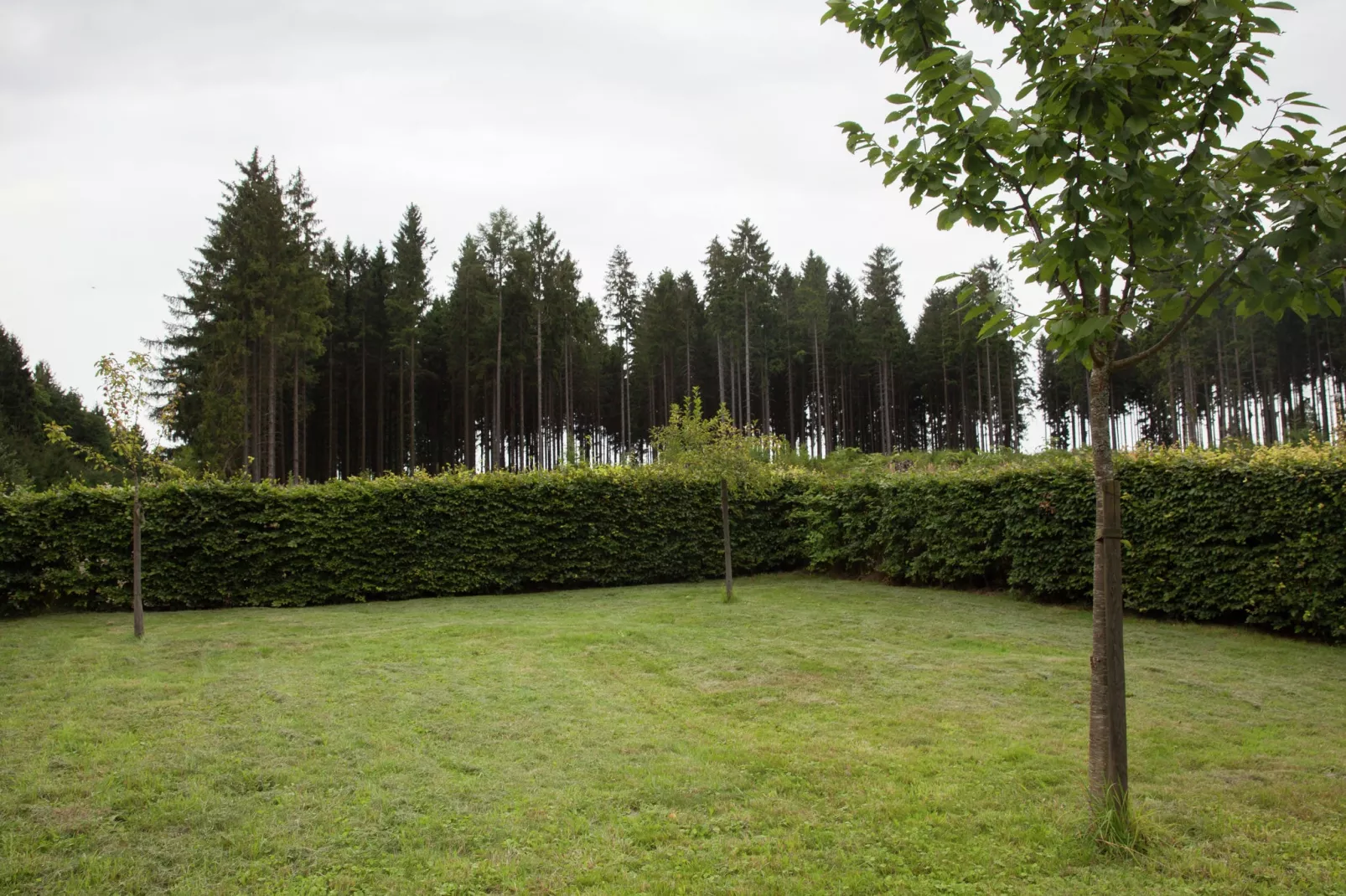 Fichtenhof-Gardens summer