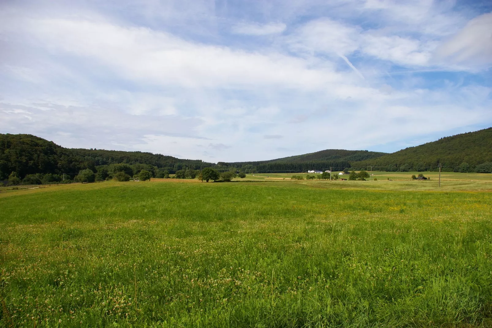 De Smaragd-Areas summer 1km
