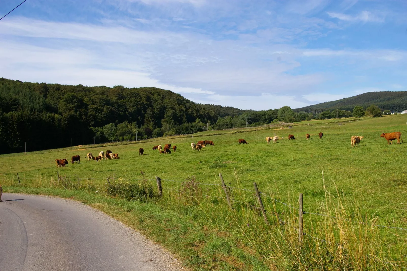De Smaragd-Gebiete Sommer 5 km